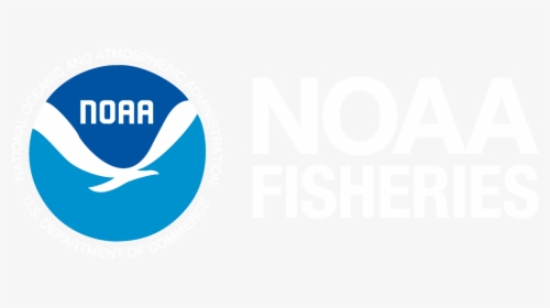 Noaa In The Cape Fear River Basin - Circle, HD Png Download, Transparent PNG