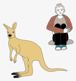 Kangaroo Cartoon PNG Images, Transparent Kangaroo Cartoon Image Download ,  Page 2 - PNGitem