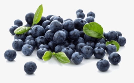 Blueberries Png Photo - Blueberries Png, Transparent Png, Transparent PNG