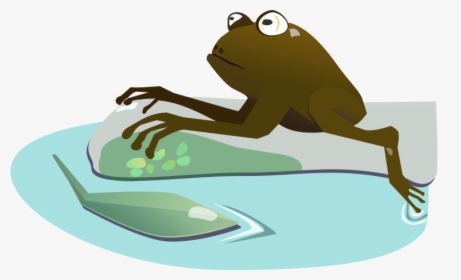 Moist - True Frog, HD Png Download, Transparent PNG