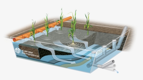 Aerated Vertical Flow Wetlands, HD Png Download, Transparent PNG
