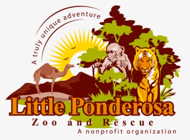 Littleponderosazoo - Com - Little Ponderosa Zoo Logo, HD Png Download, Transparent PNG