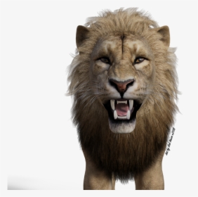 Lion - Masai Lion, HD Png Download, Transparent PNG