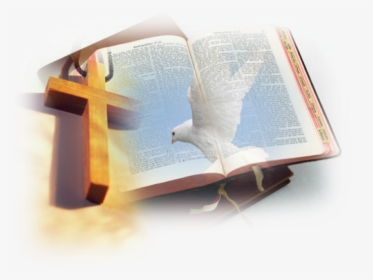 Bible And Cross And Dove, HD Png Download, Transparent PNG