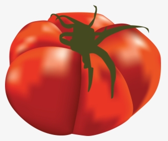 Popular Guide Part Steemit - Plum Tomato, HD Png Download, Transparent PNG