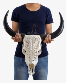 Carved Cow Skull // Xl Horns - Goat Skull Viking Carved, HD Png Download, Transparent PNG