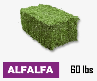 Small-square Bale Of Alfalfa - Small Square Hay Bales, HD Png Download, Transparent PNG
