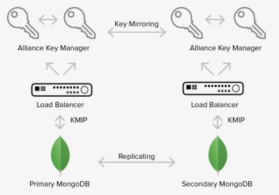 Mongodb Database Master Kmip, HD Png Download, Transparent PNG
