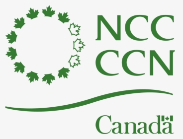 National Capital Commission Logo, HD Png Download, Transparent PNG
