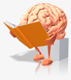 Transparent Thinking Brain Clipart - Brain Reading A Book, HD Png Download, Transparent PNG