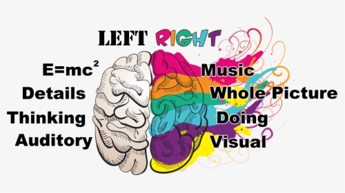 Memory Clipart Musical Brain - Brain Art Creativity, HD Png Download, Transparent PNG