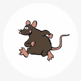 Rat Control Icon - Kangaroo Rat, HD Png Download, Transparent PNG