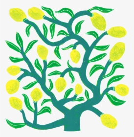 Transparent Lemon Tree Png, Png Download, Transparent PNG