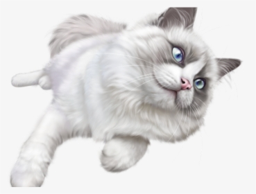 White Cat Transparent Background, HD Png Download, Transparent PNG