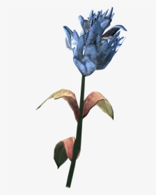 Skyrim Flower, HD Png Download, Transparent PNG