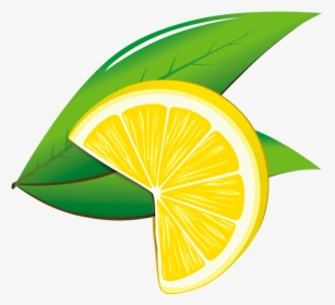 Transparent Lemon Tree Png - Axo View Of Trees, Png Download