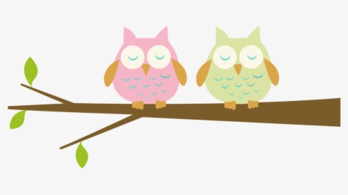 Cute Owl On Branch Png - Baby Owl Clipart, Transparent Png, Transparent PNG