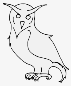 Owl, HD Png Download, Transparent PNG