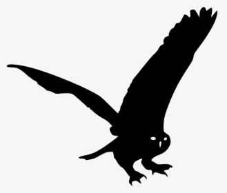 Owl - Golden Eagle, HD Png Download, Transparent PNG