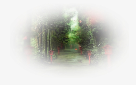 Spruce, HD Png Download, Transparent PNG