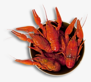Louisiana Svg Crawfish - Crab Boil, HD Png Download, Transparent PNG