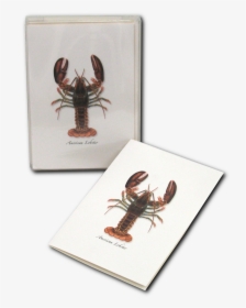 American Lobster, HD Png Download, Transparent PNG