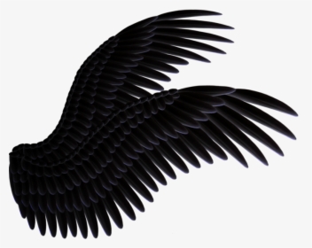 Crow Wings Png - Angel Wings Black Png, Transparent Png, Transparent PNG