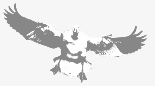 Snow - Hawk, HD Png Download, Transparent PNG
