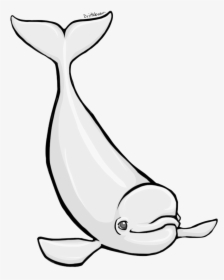 Beluga Whale Clipart, HD Png Download, Transparent PNG
