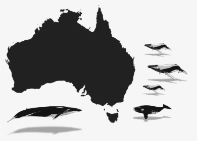 General Information Of Australia, HD Png Download, Transparent PNG