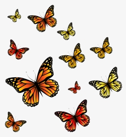 Clipart Butterfly Burgundy - Transparent Png Monarch Butterfly Butterfly Clip Art, Png Download, Transparent PNG