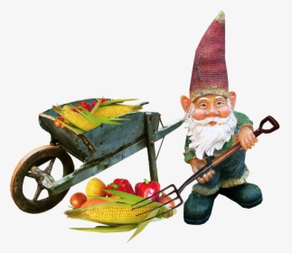 Gnome Working Vegetables Free Photo - Gnomes Png, Transparent Png, Transparent PNG