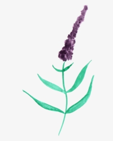 Watercolor Lavender Png Black And White - Watercolor Painting, Transparent Png, Transparent PNG