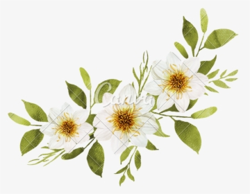 White Watercolor Flowers Bouquet - White Watercolor Flowers Png, Transparent Png, Transparent PNG