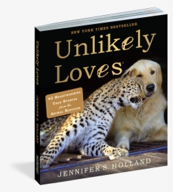 Cover - Unlikely Loves, HD Png Download, Transparent PNG