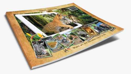 Bengal Tiger, HD Png Download, Transparent PNG