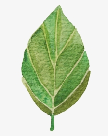 Leaves Clipart Watercolor - Watercolour Leaf Clip Art Free, HD Png Download, Transparent PNG