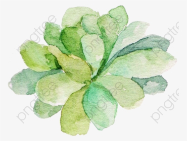 Green Watercolor Succulents Clipart - Border Watercolor Succulent Clipart Free, HD Png Download, Transparent PNG