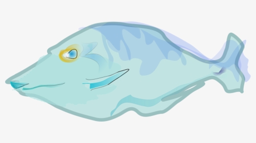 Cartilaginous Fish,marine Biology,turquoise - Swimming Fish Animation, HD Png Download, Transparent PNG