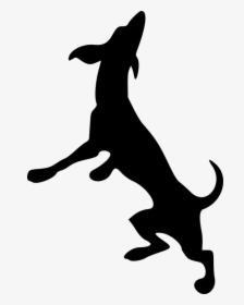 Animal, Canine, Dog, Mammal, Pet, Silhouette - Silhouette Of Horse Rearing, HD Png Download, Transparent PNG