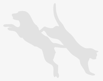 Dog Cat Finger White Mammal - Dog Catches Something, HD Png Download, Transparent PNG