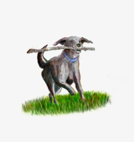 Secure Dog Field Somerset Evas Green - Dog Catches Something, HD Png Download, Transparent PNG