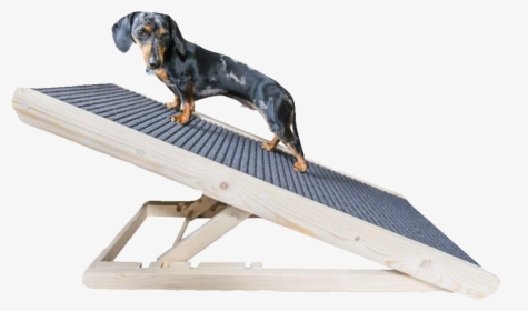 Dachshund Dog Ramp For Bed, HD Png Download, Transparent PNG