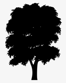 Png Vector Tree Silhouette, Transparent Png, Transparent PNG
