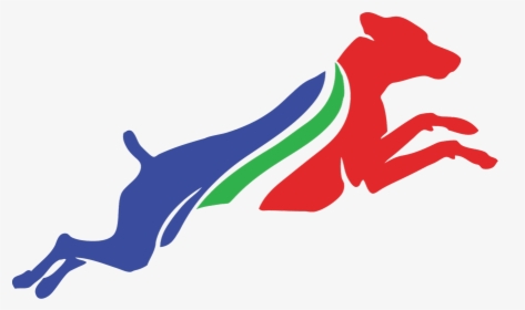 Nadd Logo - North America Diving Dogs Logo, HD Png Download, Transparent PNG