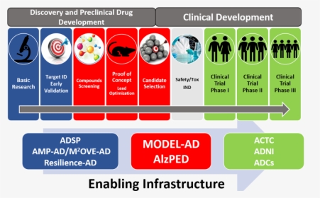 Enabling Infrastructure - Preclinical And Clinical Trials, HD Png Download, Transparent PNG