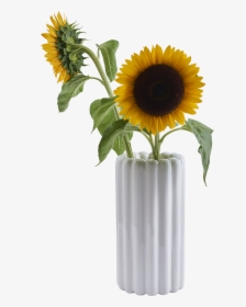 Vase, HD Png Download, Transparent PNG