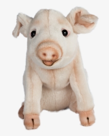 Hansa Soft Toys Via Toby & Roo - Domestic Pig, HD Png Download, Transparent PNG