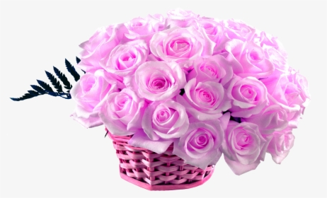 50 Pink Roses Basket - Pink Rose Rose Hd Wallpaper Download, HD Png Download, Transparent PNG