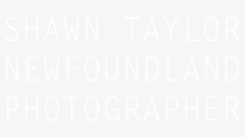 Picture - Hyatt White Logo Png, Transparent Png, Transparent PNG